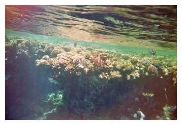 El Gouna in �gypten